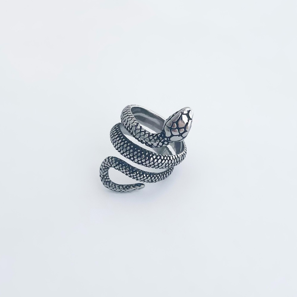 Long Snake ring